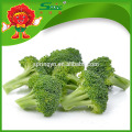 Оптовая цена по прейскуранту завода China Fresh Broccoli